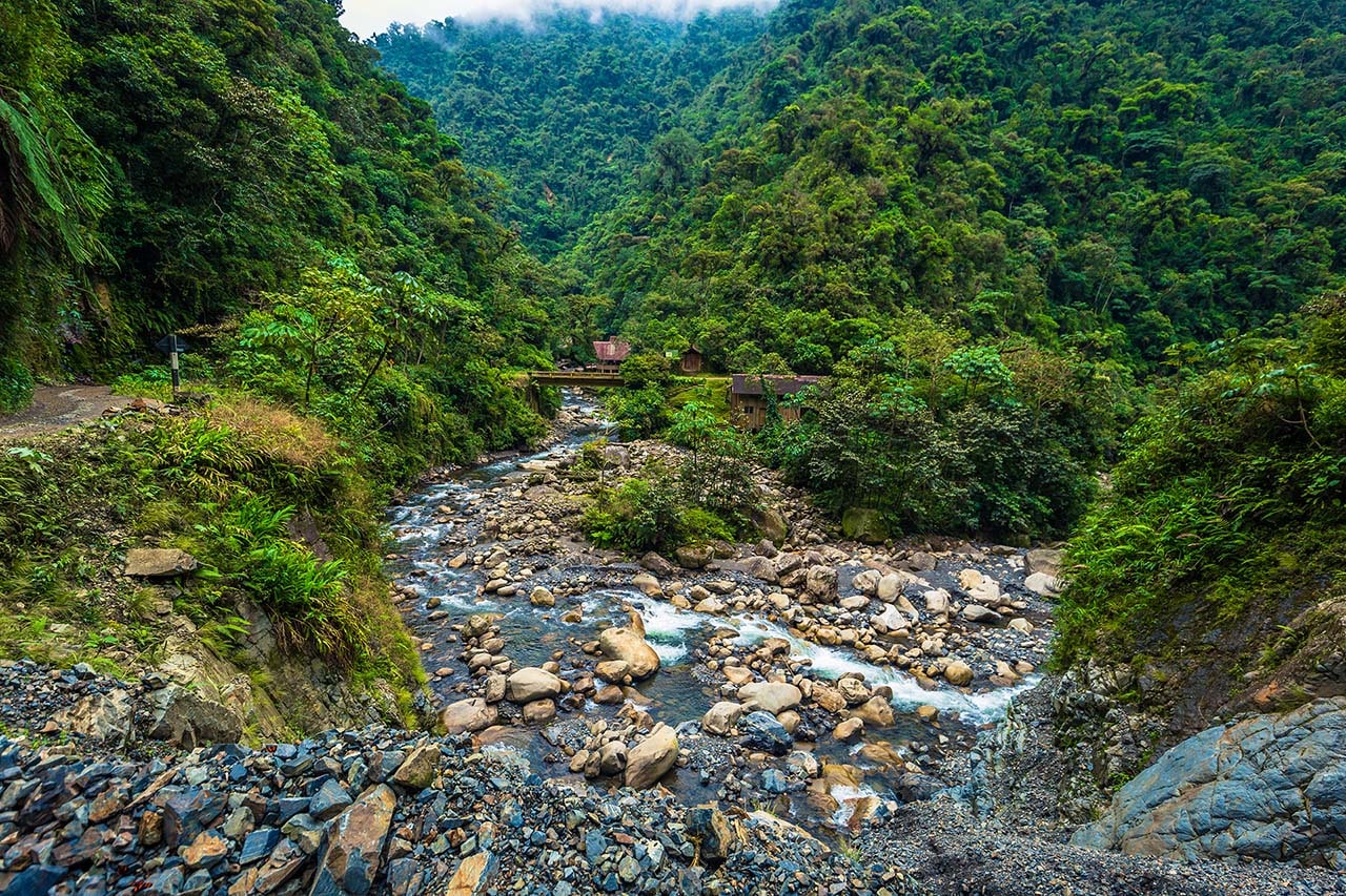 3-Day Amazon Tour from Cusco: Nature Trip to the Manu Jungle Cultural ...